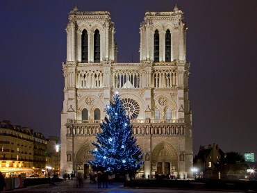 Private guided Christmas tour in Champagne