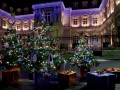 Private guided Christmas tour in Champagne