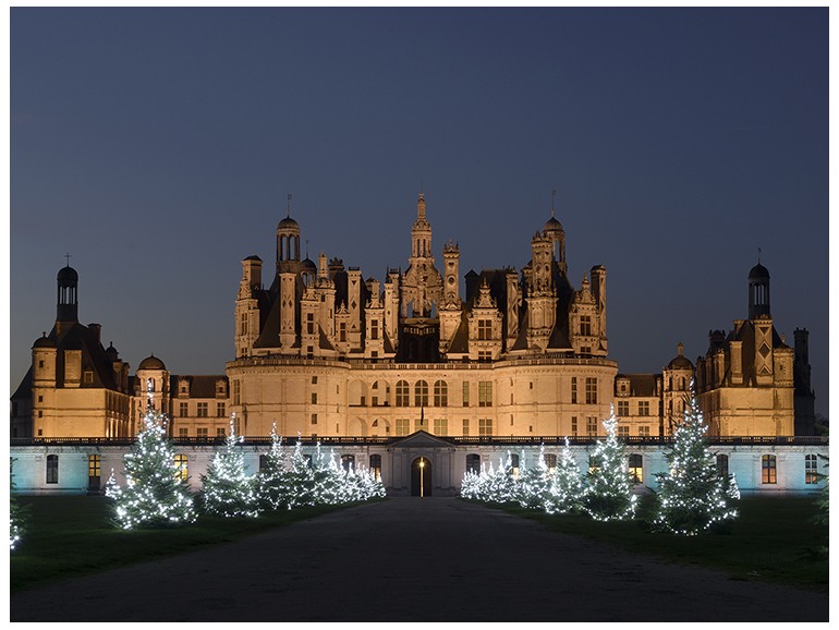 Private guided Christmas tour in the Loire Valley
