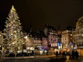 Private guided Christmas tour in Alsace