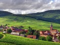 Alsace small group wine Tour from Strasbourg, vineyards & Grands crus route, tours&tasting, expert tour guide, Mon/Wed/Thur/Sat