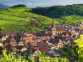 Alsace small group wine Tour from Strasbourg, vineyards & Grands crus route, tours&tasting, expert tour guide, Mon/Wed/Thur/Sat