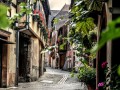 Alsace small group day Tour from Strasbourg, Colmar, Grands crus route, Haut Koenigsbourg, Riquewihr, expert tour guide, 7/7