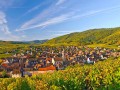 Super Alsace Private Tour from Strasbourg, Grands crus route, Colmar, Haut Koenigsbourg, Riquewihr, exclusive expert tour guide