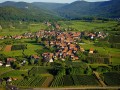 Super Alsace Private Tour from Strasbourg, Grands crus route, Colmar, Haut Koenigsbourg, Riquewihr, exclusive expert tour guide