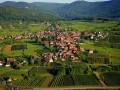 Super Alsace Private Tour from Strasbourg, Grands crus route, Colmar, Haut Koenigsbourg, Riquewihr, exclusive expert tour guide