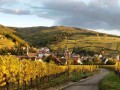 Alsace Private wine Tour from Strasbourg, exclusive wine guide, Grands crus route, 3 tours & wine tasting in family domains