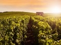 Deep Inside France