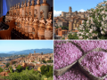 Deep Inside France Tour - Part 2: Provence & Riviera