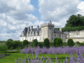 Beautiful Loire Valley