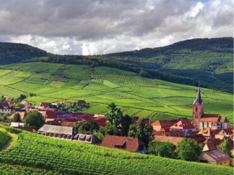 Super Alsace Private Tour from Strasbourg, Grands crus route, Colmar, Haut Koenigsbourg, Riquewihr, exclusive expert tour guide