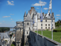 Valle del Loira Elegante - Visita los castillos del Loira y vinos alrededor de Chenonceau - Martes & Viernes