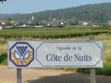 Côte de Nuits - Burgundy Wine Tour - 12 wines tasting - Tuesday, Thursday & Saturday