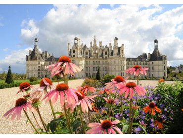 Loire Valley Private Day Tour, exclusive guide & transportation, Chateaus of Chenonceau & Chambord, Caves Ambacia tour & tasting