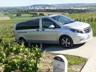 Private Day in Champagne - Minibus and National Licenced Guide