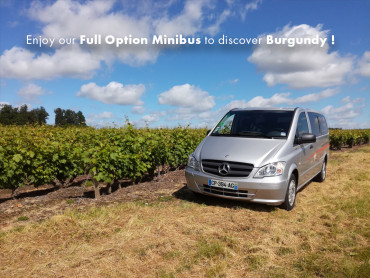 Private Day in Burgundy - Minibus and National Licenced Guide