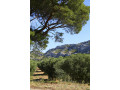 Provence Private Tour from Aix, exclusive driver guide, Arles Romain heritage, Saint Rémy and Baux de Provence