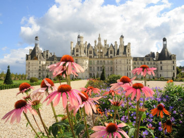 Loire Valley Chateaus Day trip: Chenonceau, Chambord & Caves Ambacia wine tour & tasting - 7/7