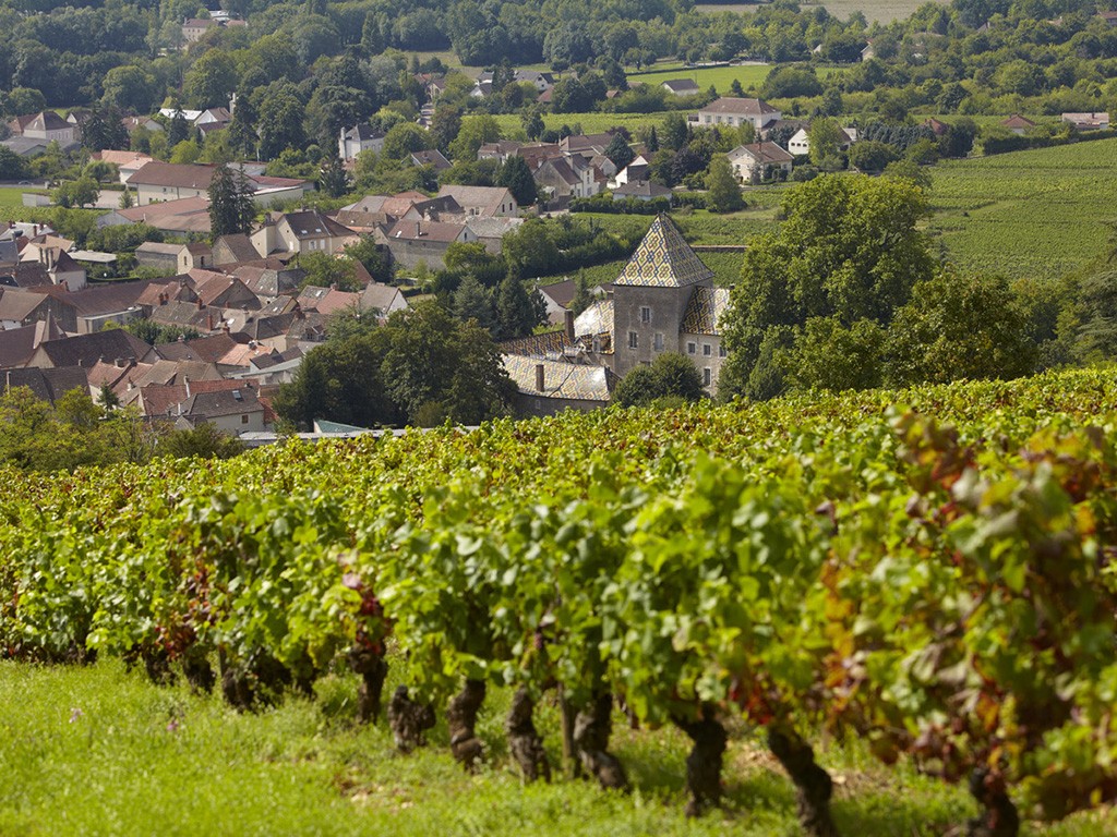 Burgundy package small group tour 2days 1night 5*hotel Beaune, 10 wines