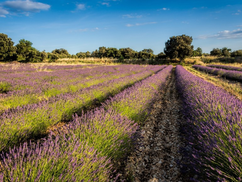 Provence Private Tour from Aix, exclusive driver guide, Avignon Popes City, Luberon villages of Gordes & Roussillon