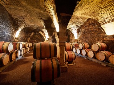 Private Burgundy Day tour - Côte de Beaune - from Monday to Saturday