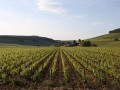 Private Burgundy Day tour - Côte de Beaune - from Monday to Saturday