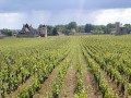 Private Burgundy Day tour - Côte de Nuits - from Monday to Saturday