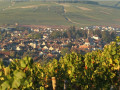Self-guided tour from Paris to Champagne and Burgundy - 6 days/5nights in a 4*hotel and 5*hotel