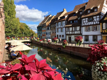 Tour 1 Día en Alsacia desde Estrasburgo, Colmar, Route Grands crus, Haut Koenigsbourg, Riquewihr, guía experto, todos los días