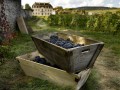 Bourgogne-Champagne Super Stay Combo, 5 days, 5nights in hotel **** Beaune & Reims