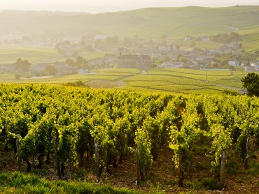 Bourgogne-Champagne Super Stay Combo, 5 days, 5nights in hotel **** Beaune & Reims