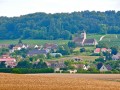 Champagne Private Day tour - Champagne's Soul And Spirit