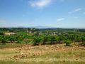 Provence Private Tour from Aix, exclusive driver guide, Provence wine tour