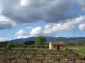 Provence Private Tour from Aix, exclusive driver guide, Provence wine tour