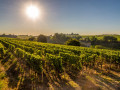 Small group tour from Paris to Loire Valley and Bordeaux - 8 days / 7 nights in 4*hotel