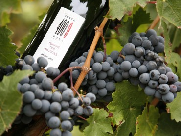 Un día con los vinos del Valle del Loira - Vouvray - Bourgueil – Chinon