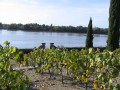 Tour privado com visita guiada em portugues e degustação de Vinhos do Vale do Loire - Vouvray - Bourgueil - Chinon