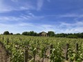 Private Wine Tour: Saint Emilion and Pomerol