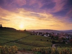 CHAMPAGNE SMALL GROUP TOURS