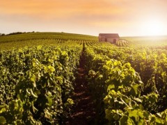 CHAMPAGNE PRIVATE TOURS