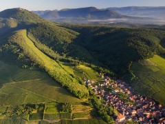 ALSACE SMALL GROUP TOURS 