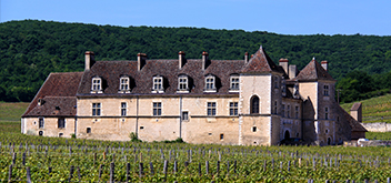 Clos vougeot